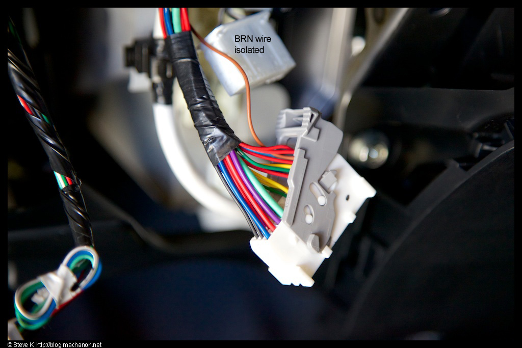Isolate the brown wire from the ECU plug