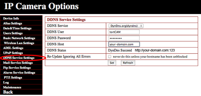 Configuring DDNS Service