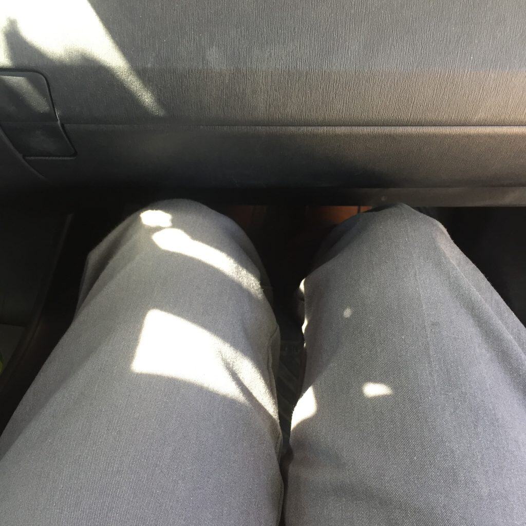 RECARO Performance Coupe Infant Car Seat In a 2012 Prius, Prius c