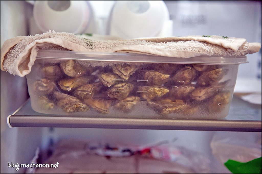 49 Aunt Dotty oysters in one 76 oz. Tupperware container.