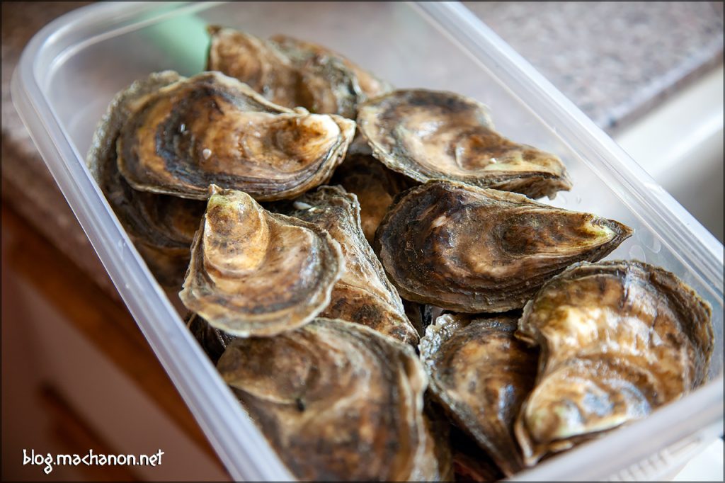 Island Creek Oysters refrigerated until ready for consumption