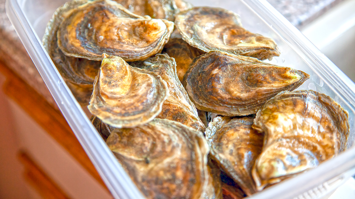 Mail Order Oysters From Island Creek Oysters