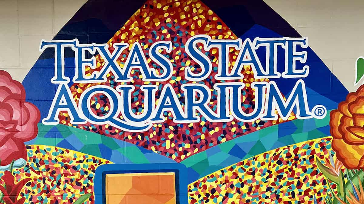 Our First Road Trip in Texas